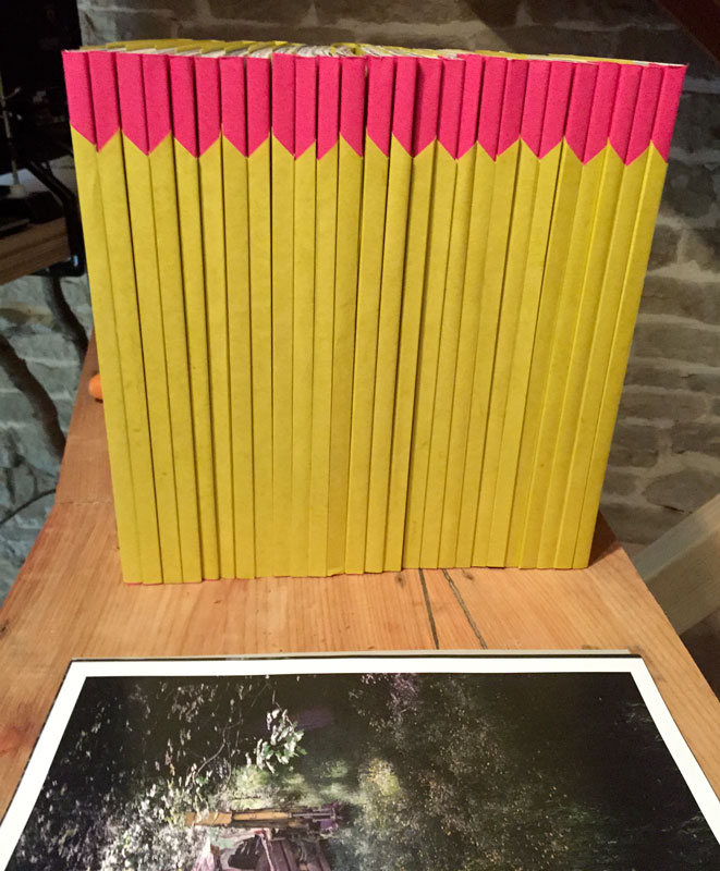 common-sense-on-shelf